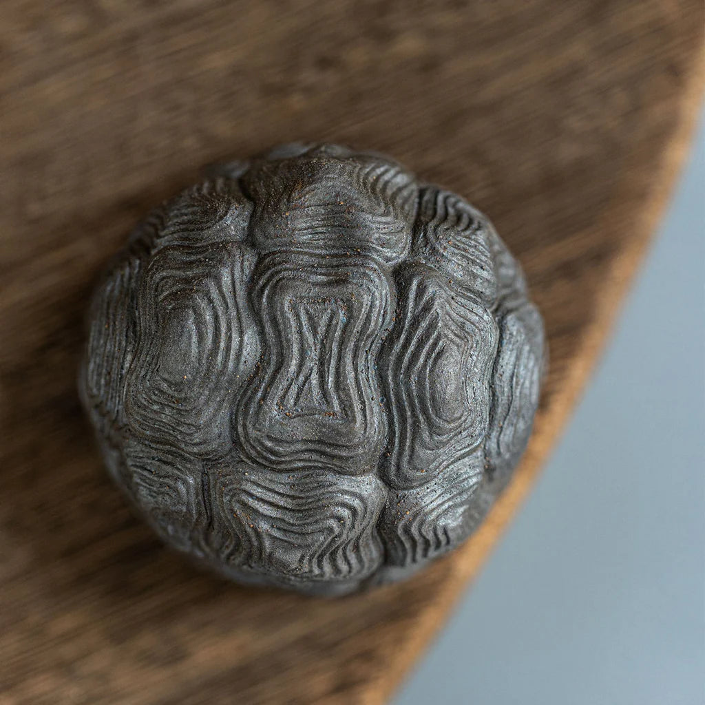 Turtle Shell Yixing Teacup 50ml